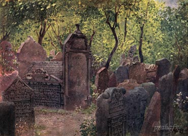 Вацлав Янса. Старое еврейское кладбище